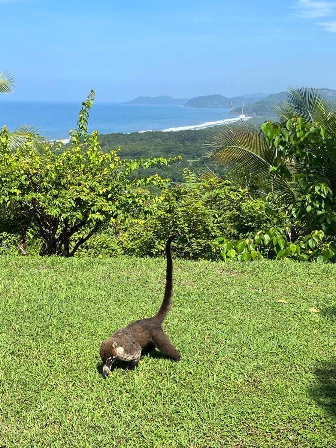 Sweet Jungle Beach Playa Bejuco  ภายนอก รูปภาพ